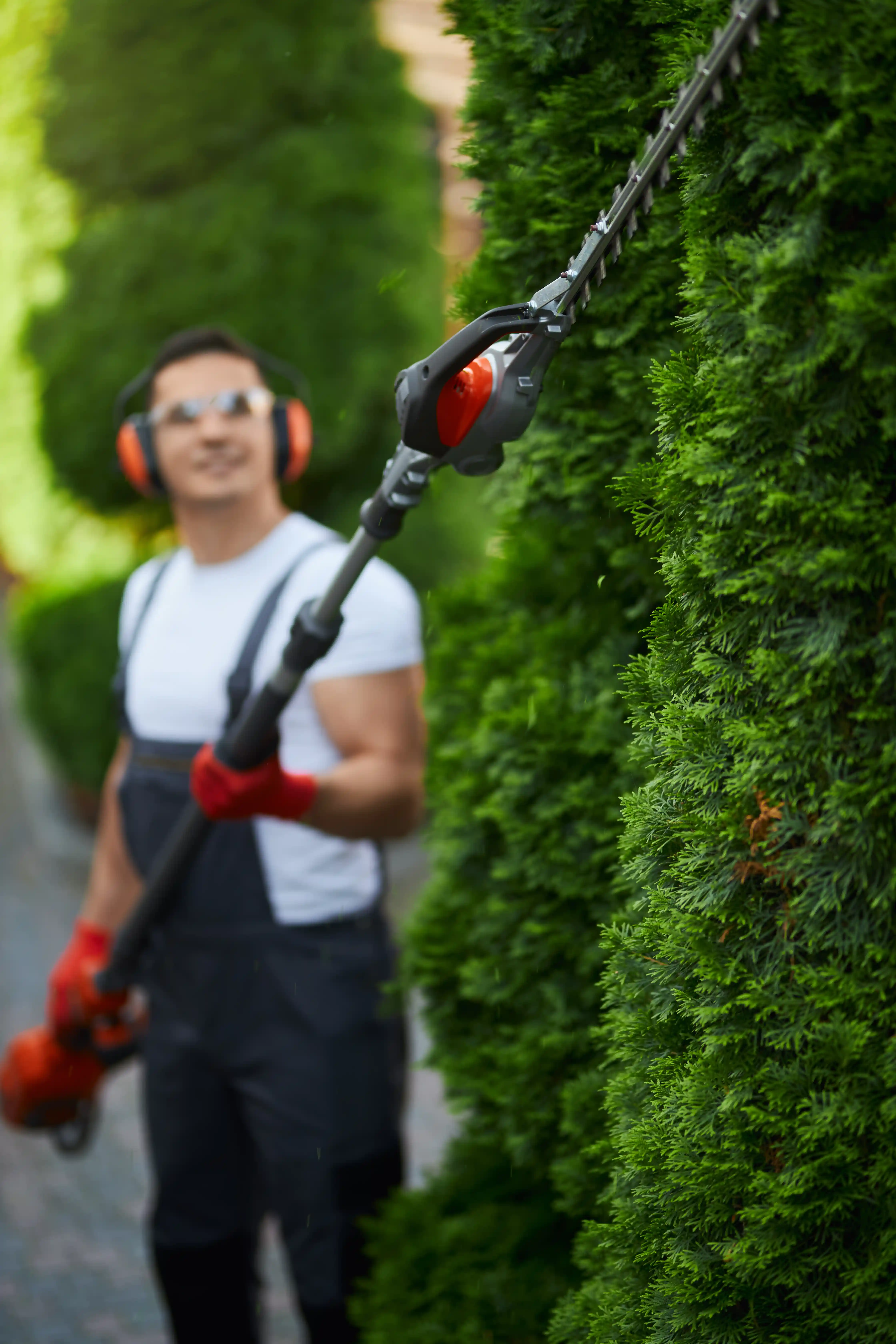 Pruning and Trimming